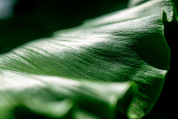 Green Future Breeze Environmental Responsibility in Focus