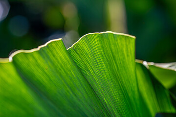 Green Future Breeze Environmental Responsibility in Focus