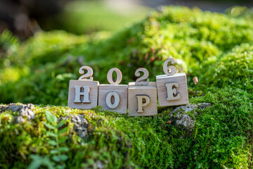 2026 Hopeful Beginnings in Nature new year