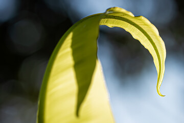 Circular Growth The Harmony of Sustainable Nature Green Loop Innovation for a Regenerative Future Eco Circle Evolution Nature’s Blueprint for ESG Sustainable Flow The Natural Cycle of Green Business