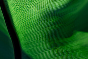 ESG A Clean and Conscious Texture Eco-Driven Texture: The Path Toward a Greener Future Green