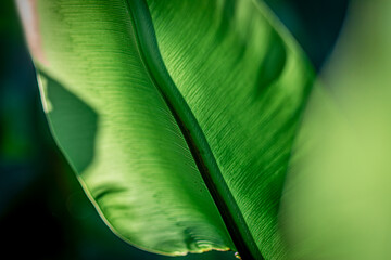 ESG A Clean and Conscious Texture Eco-Driven Texture: The Path Toward a Greener Future Green