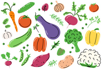 Simple Line Vegetables Set. Vector Vegetable Collection. Cute hand drawn food illustrations