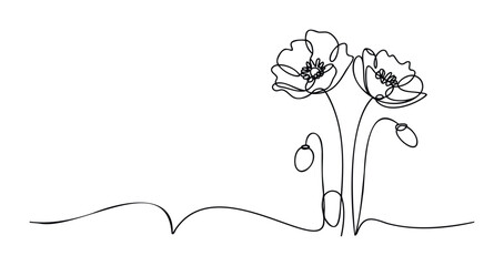 Elegant single line drawing of delicate poppies and buds on a flowing ground line suggesting nature and growth for organic themes and springtime celebrations