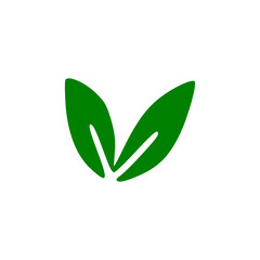 green plant in the shape of a heart