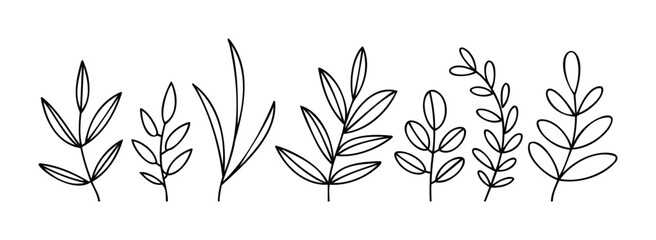 Collection of simple line drawings of plant stems with leaves, perfect for adding a natural touch to branding, websites, and graphic projects.