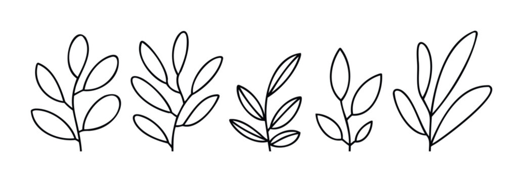 Simple line drawing branches with leaves, perfect for nature themes, gardening projects, and organic branding applications.