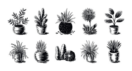 Collection of ten potted plants in linocut style, perfect for home decor, gardening themes, and natural lifestyle promotions, conveying organic growth and botanical diversity.