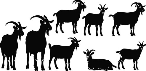 Set of vector black goat silhouettes farm animal icons isolated on white background for agriculture and livestock logo design.