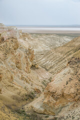 Ancient fossils. The floor of the ancient Tethys Ocean.