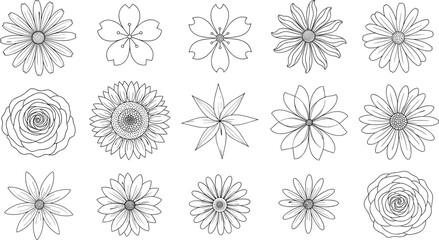 Large Collection of Hand Drawn Flowers Line Art Set, Roses, Daisies, Cherry Blossoms, and Sunflower Head, Detailed Botanical Outline Vector Illustration for Coloring