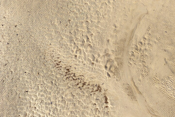 Wide Desert Sand Dunes With Rippled Texture Across Beige Landscape, Vast and Serene