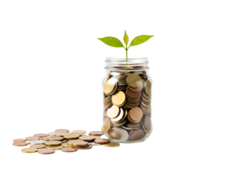 Growing Wealth: Coins in Jar with Green Sprout on white background