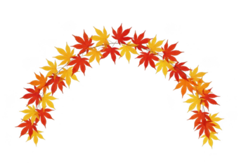 Arch of colorful autumn maple leaves isolated on transparent background, fall season