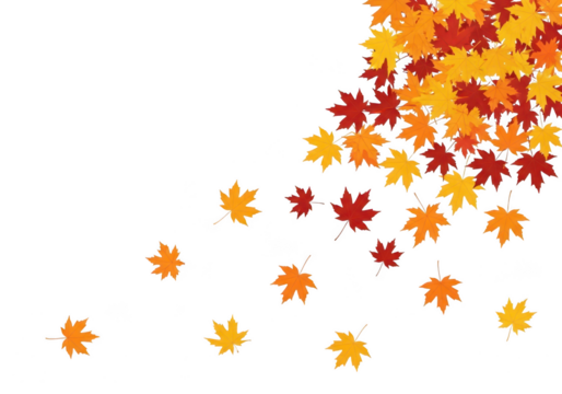 Colorful maple leaves falling on transparent background, autumn concept isolated on transparent background