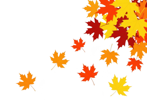 Colorful maple leaves falling, isolated on transparent background, autumn season concept
