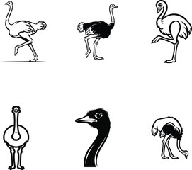 Elegant Ostrich Silhouette Collection in Various Poses Black and White Graphic Designs Portraying the Grace and Unique Anatomy of These Flightless Birds