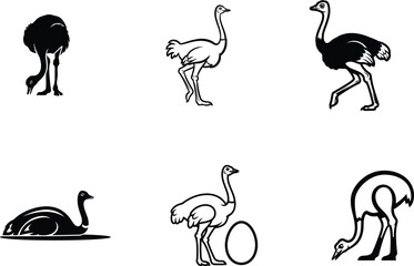 Monochrome Vector Illustration of Ostrich Birds in Various Poses showcasing a collection of these large flightless birds offering diverse graphic elements for design projects