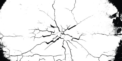 White cracked texture background, featuring a white background with a dry, cracked pattern. The white background adds a rustic feel.