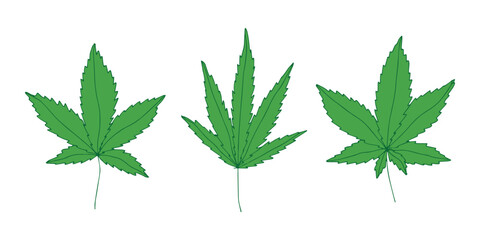 Set of hand drawn cannabis leaf Medicine marijuana Hemp leaves clipart in doodle style Single element for print, web, design, decor