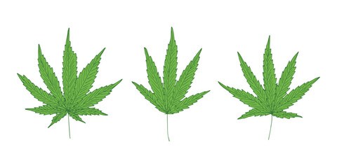 Set of hand drawn cannabis leaf Medicine marijuana Hemp leaves clipart in doodle style Single element for print, web, design, decor