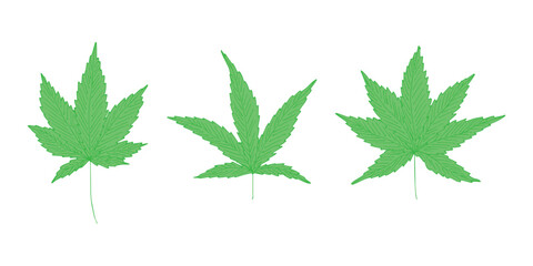 Set of hand drawn cannabis leaf Medicine marijuana Hemp leaves clipart in doodle style Single element for print, web, design, decor