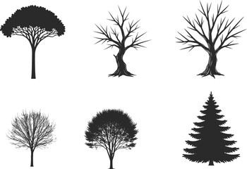 Obraz premium Collection of six different tree silhouettes in black and white
