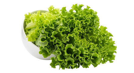 Obraz premium Fresh green leaf lettuce in white bowl, healthy eating concept