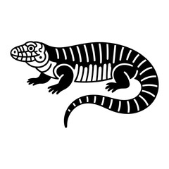 Argentine Black and White Tegu