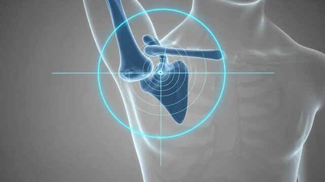 Animated shoulder joint motion shows low opacity outline for medical illustration
