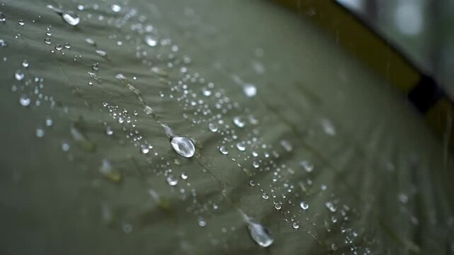 Clear raindrops gently fall and slide across the olive green waterproof fabric of a tent, showcasing its protective barrier during a tranquil outdoor downpour.