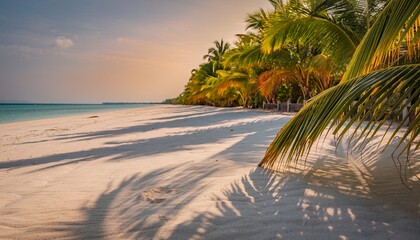 Tropical Beach with Palm Trees and Sandy Shore at Sunset