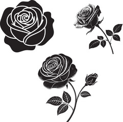 Rose flower silhouette illustration