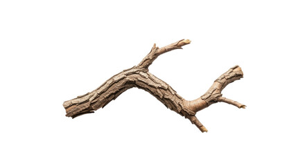 Fototapeta premium Dry Twisted Tree Branch Isolated on White Background 9.