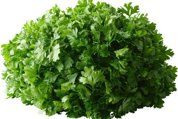 Elegant display of ground coriander scattered loosely capturing its natural, aromatic appeal with a transparent background.