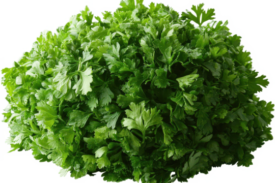 Elegant display of ground coriander scattered loosely capturing its natural, aromatic appeal with a transparent background.