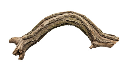 Fototapeta premium Natural Curved Tree Branch for Decoration.