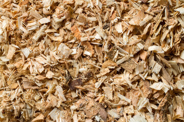 A lot of small wood sawdust. Texture of fresh dry wood sawdust