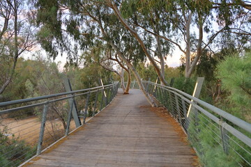 Fototapeta premium Wooden bridge over the river in the eucalyptus forest