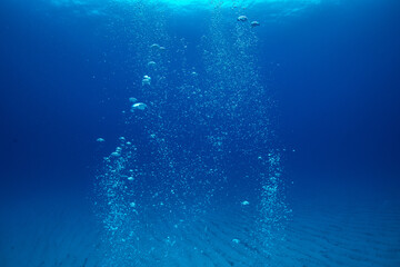 ダイバーの泡　小笠原