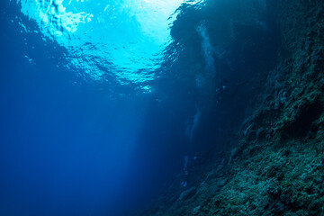 南島の海中　小笠原