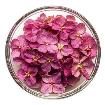 Top View Whole Kewra Flowers in Glass Bowl Studio Shot Isolated White Background