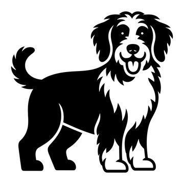 Bernedoodle