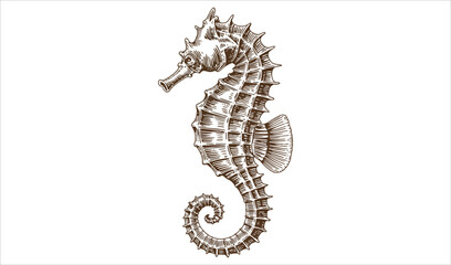 Intricate Seahorse Woodcut (Side View, Brown)