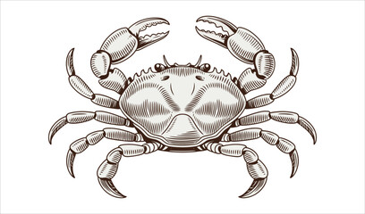Vintage Crab Etching (Profile View, Brown Tone)