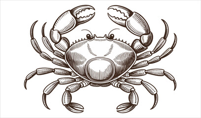 Nautical Crab Engraving (Brown/Grey Shading)