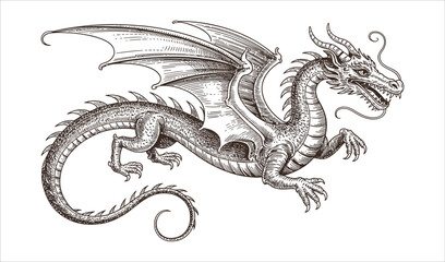 Standing European Dragon with Coiled Tail - Vintage Fantasy Engraving Style