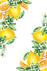 Pomelo citrus fruit watercolor hand painted. Pomelo wreath of flowers and citrus for wedding, holiday decor and food packaging. Citrus fruit on white background