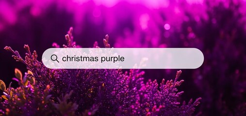 Digital search bar with christmas purple text, set against a vibrant, blurry purple background with bokeh, symbolizing online holiday inspiration and festive color