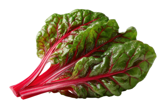 Bright red stems and green leaves of swiss chard on black background beet leaf, Png On White Background, Isolated on Transparent Background, Cut Out